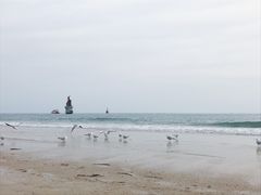 -海云台海滩