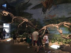 -自贡恐龙博物馆