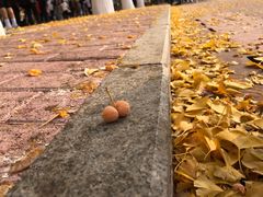 -辽宁大学(崇山校区)