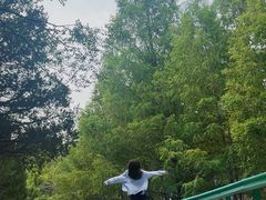 -白水寺森林公园