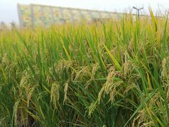 -中国天府农业博览园