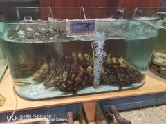 -大渔小鲜火锅店