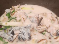 菌菇汤锅底-鲜潭蒸汽石锅鱼(五道口购物中心店)