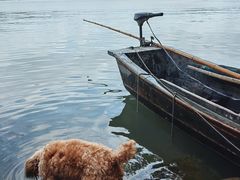 -东钱湖旅游度假区