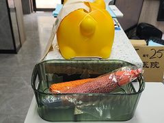 -半岛宠物医院24小时(白果林店)
