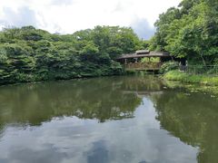 -济州森林小火车生态公园