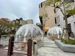 -上海崇明金茂凯悦酒店