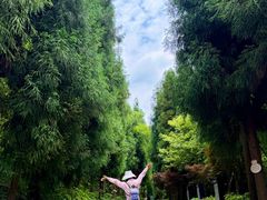 -太阳湾风景区