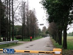 -贡湖湾湿地公园
