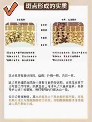 -安吉拉青春化管理中心