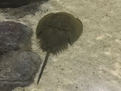 -福州罗源湾海洋世界旅游区