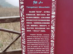 -阳台山自然风景区