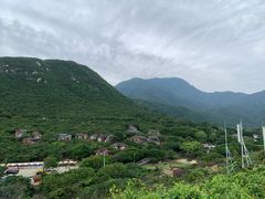 -杨梅坑