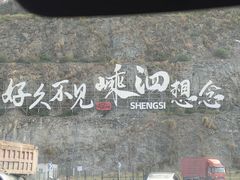 -枸杞岛