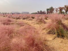 -映月湖中央公园