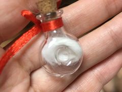 -翡翠森林宠物火化殡葬(通州店)
