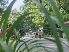 -荔湾湖公园