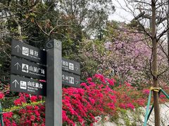 -广州市白云山风景名胜区