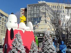 -中粮·祥云小镇