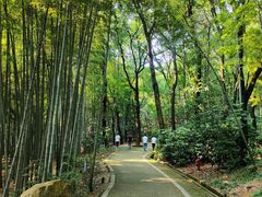 -虞山风景区