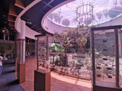 -陕西自然博物馆