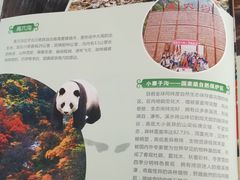 -北川巴拿恰
