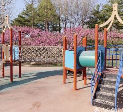 -酷酷兔少儿拓展天地