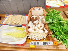 -侃爷南门铜锅涮肉
