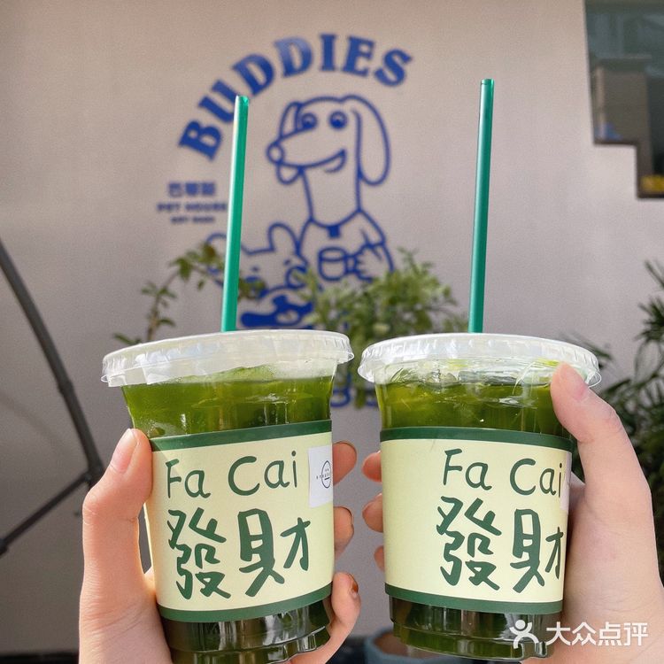 常州一家可以免费撸狗狗的下午茶店