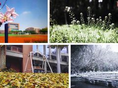 -华东师范大学第二附属中学(张江校区)