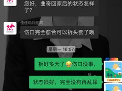 -佳佳动物医院