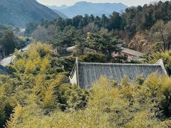 -潭柘寺景区