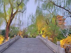 -济南大明湖景区