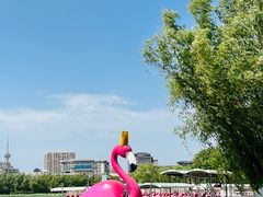 -莲花池公园