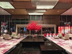 -廊坊固安福朋喜来登酒店