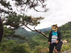 -木兰云雾山