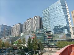 -合景·悠方(成都店)