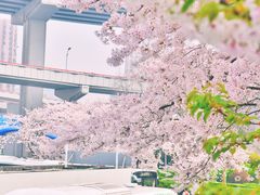 -上海南浦大桥长途旅游客运站