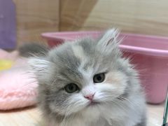 -上海尚嘉中心