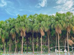 -红花山公园