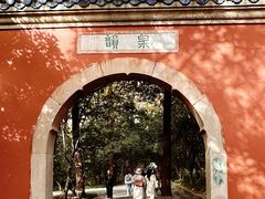 -灵谷景区