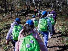 -甲乙果 美术书法(通州校区)