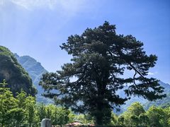 -秦岭终南山世界地质公园翠华山景区