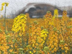 -中国天府农业博览园