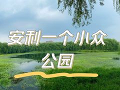 -东坝千亩湖公园
