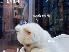 -萌兽医馆·眼科·异宠专科(三里屯店)