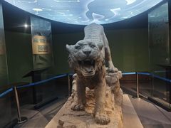 -鄂尔多斯青铜器博物馆