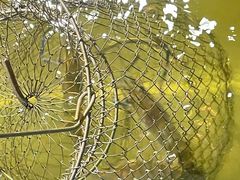 -光头佬钓虾场·烧烤·聚餐·亲子(金沙洲店)