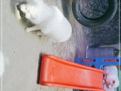 -芜湖新华联大白鲸海洋公园