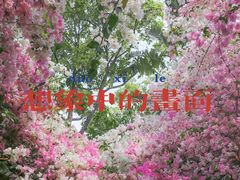 -深圳国际园林花卉博览园